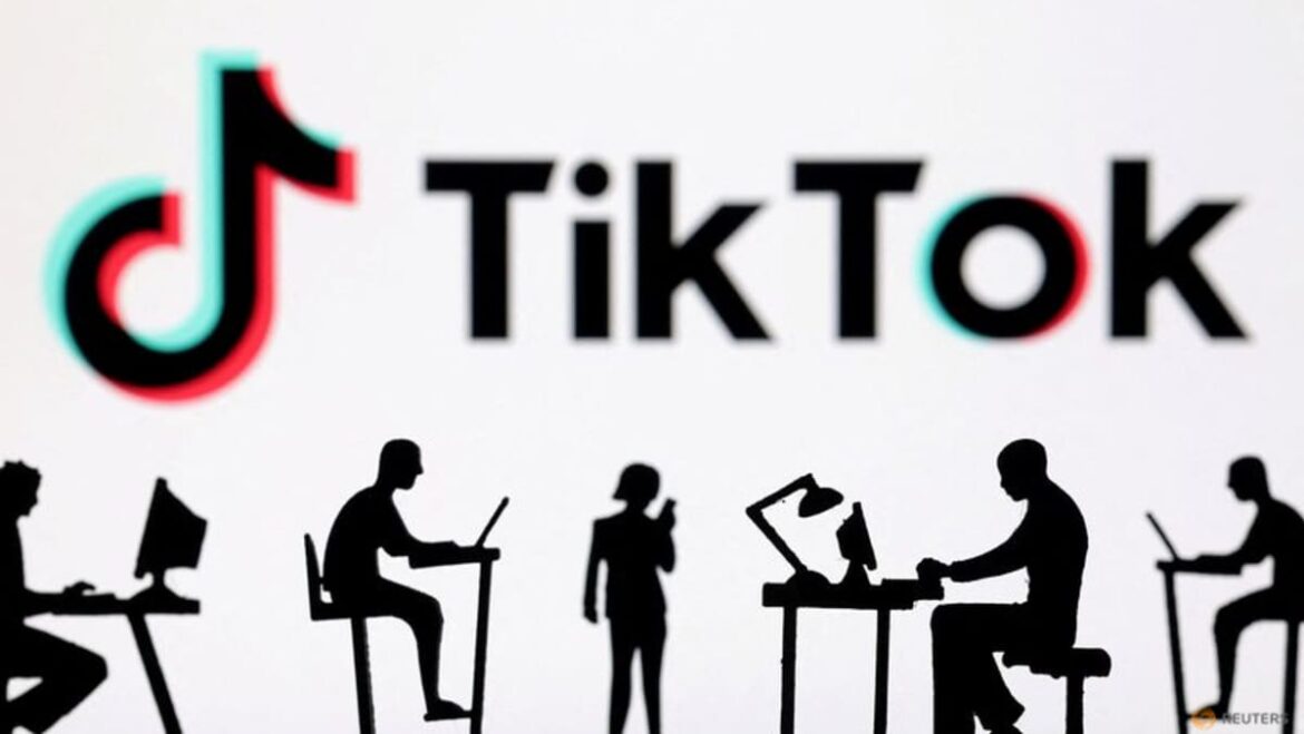 TikTok shakes up senior roles including in trust and safety unit, Information reports