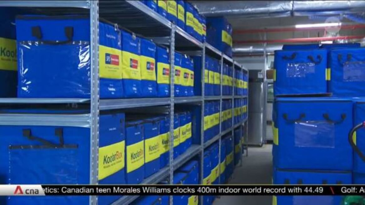 Logistic firms going green say calculating and reporting emissions remains challenging