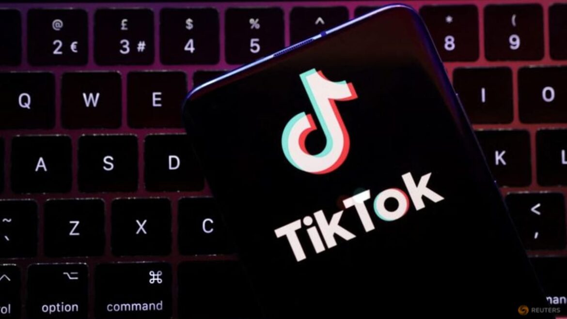 Commentary: TikTok’s scammy shop insults users and hurts its business