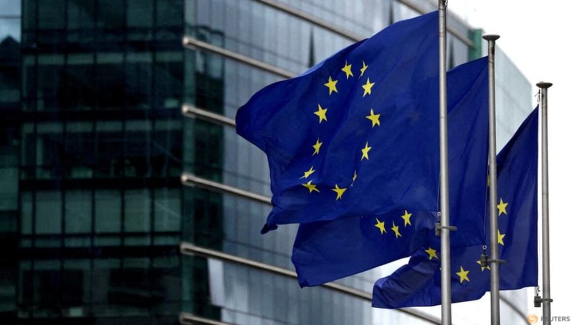 X, ByteDance, Booking.com could face tough EU rules