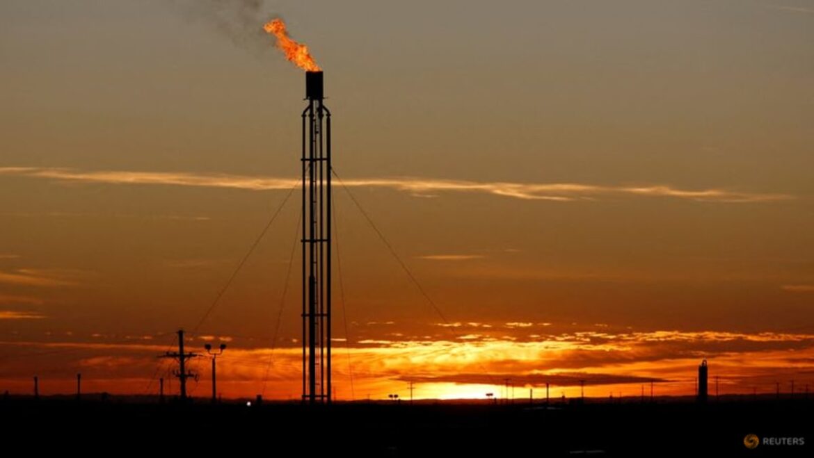 Oil steadies after OPEC+ extends output cuts as expected