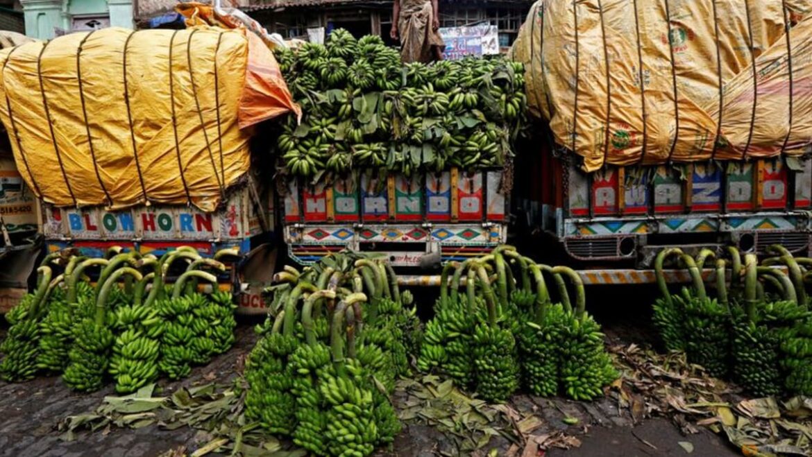 India’s February wholesale prices rise 0.20% on year, pace slows