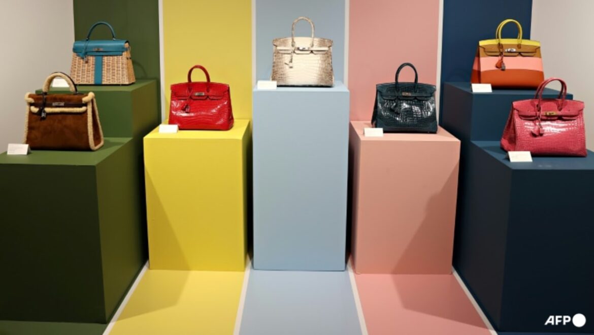 Hermes faces US lawsuit over ‘refusal’ to sell Birkin bag