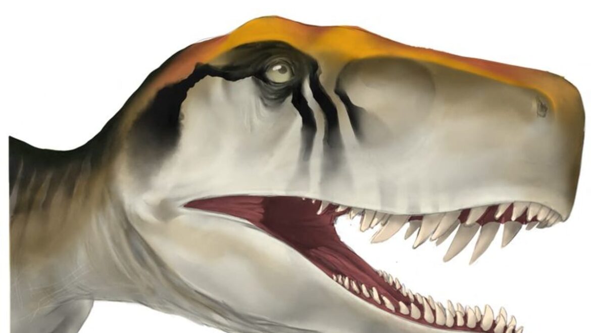 Dinosaurs displayed a fast growth rate from the very beginning