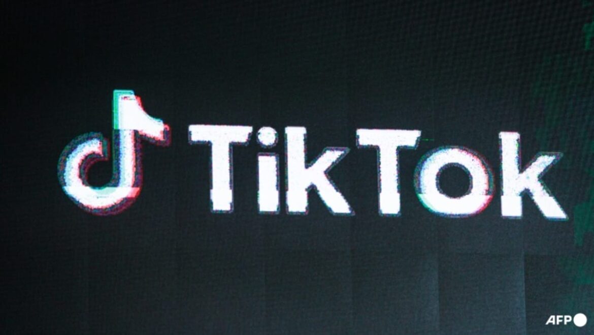 TikTok creators fear economic blow of US ban