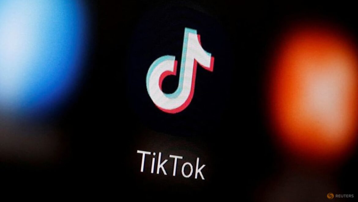 Tech platforms make pitch for ad deals as TikTok is roiled by politics
