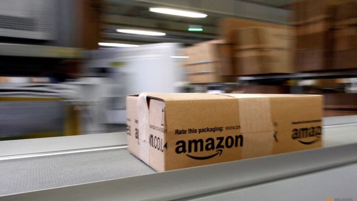 Amazon launches online shopping service in South Africa