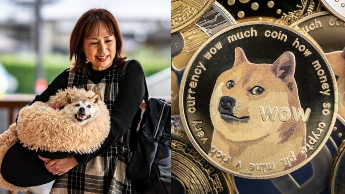 Japanese dog of ‘Doge’ meme fame dies