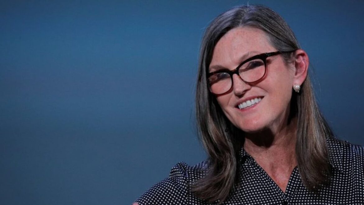 Cathie Wood’s Ark buys stake in Musk’s xAI, Bloomberg News reports