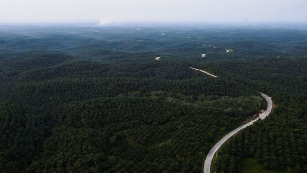 Louis Dreyfus to expand Indonesia palm oil refining business, executive says