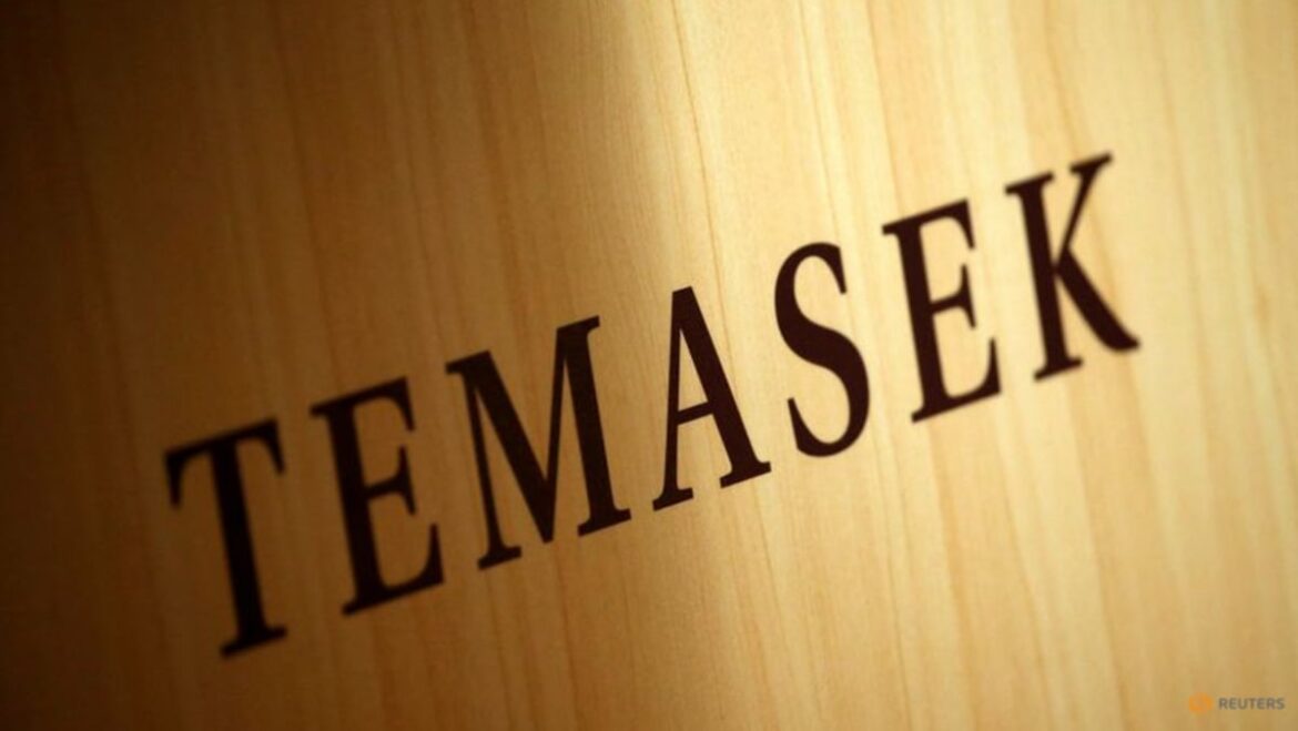Singapore’s Temasek plans to invest up to US$30 billion in US over next five years
